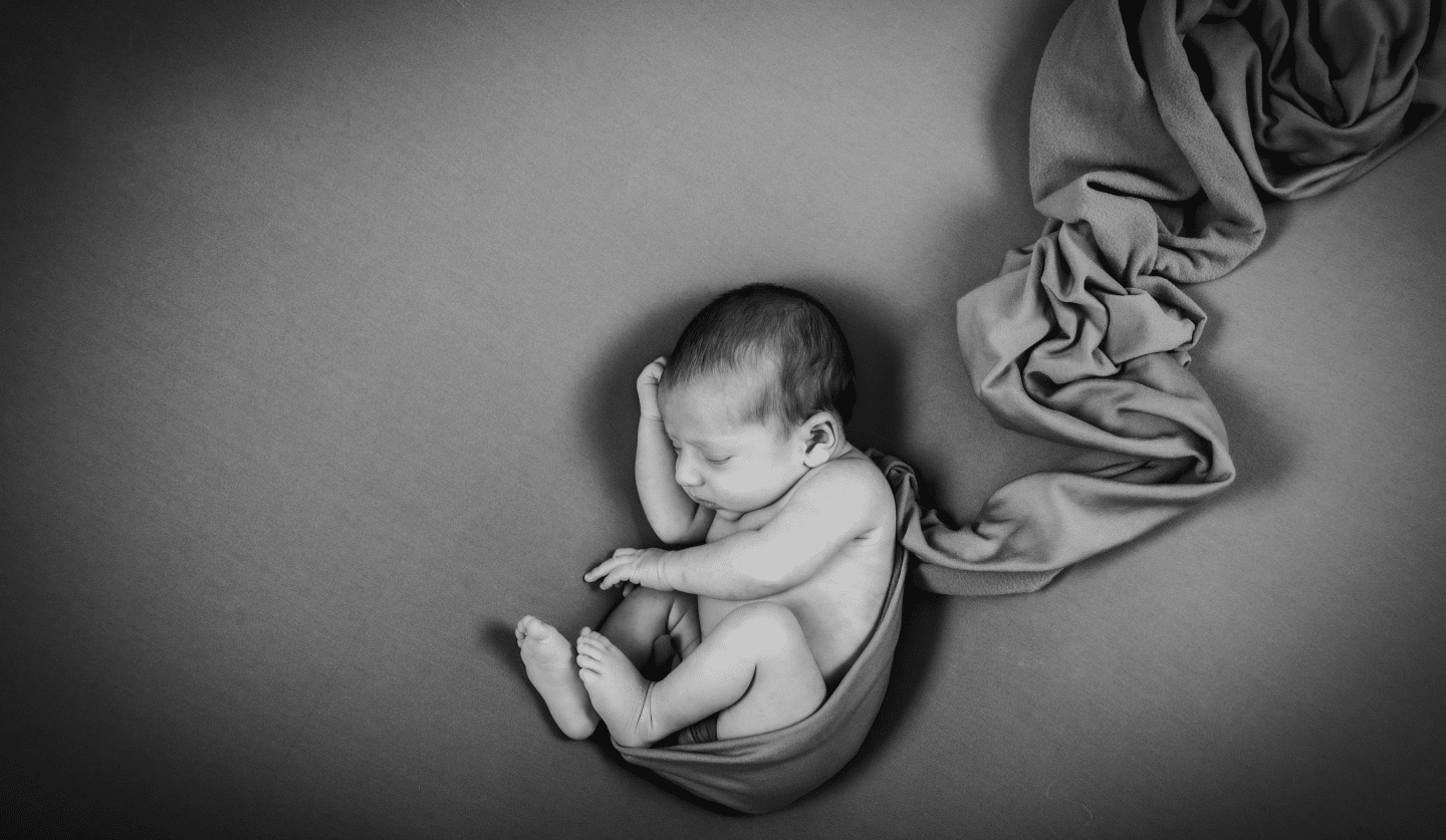 Vimage Photography
