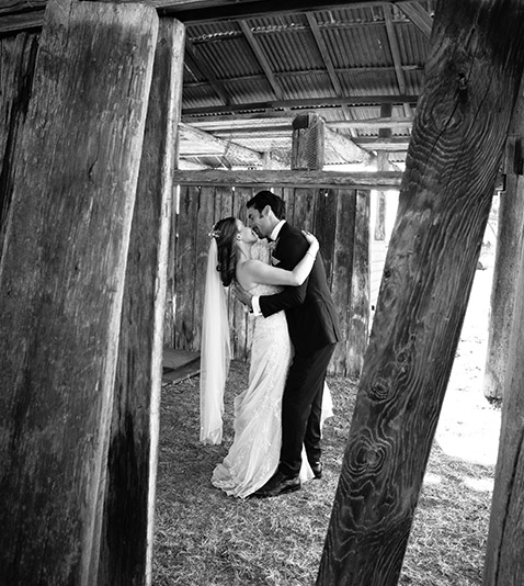 Diamond Portraits and Weddings